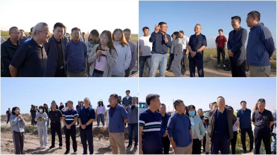 鄂尔多斯市盐碱地综合利用现场观摩培训班圆满举行 聚焦农牧业技术创新与实践