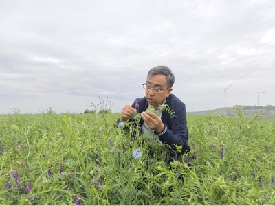 内蒙古农牧业科学院——农牧业技术研究的引领者