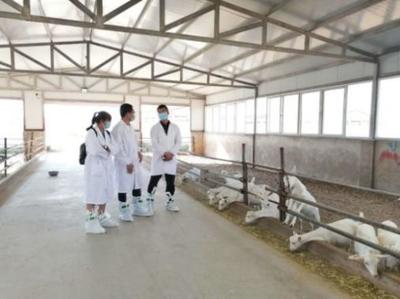 内蒙古农牧业科学院 深耕农牧业技术研究，助力绿色发展