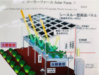 吉林三华农牧业集团
