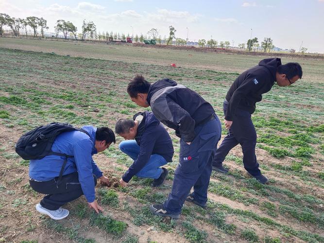 呼和浩特市农牧技术推广中心饲料饲草技术科同中国农业科学院草原研究