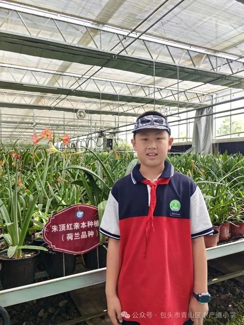 丰产道小学走进包头市农牧科学技术研究所研学记